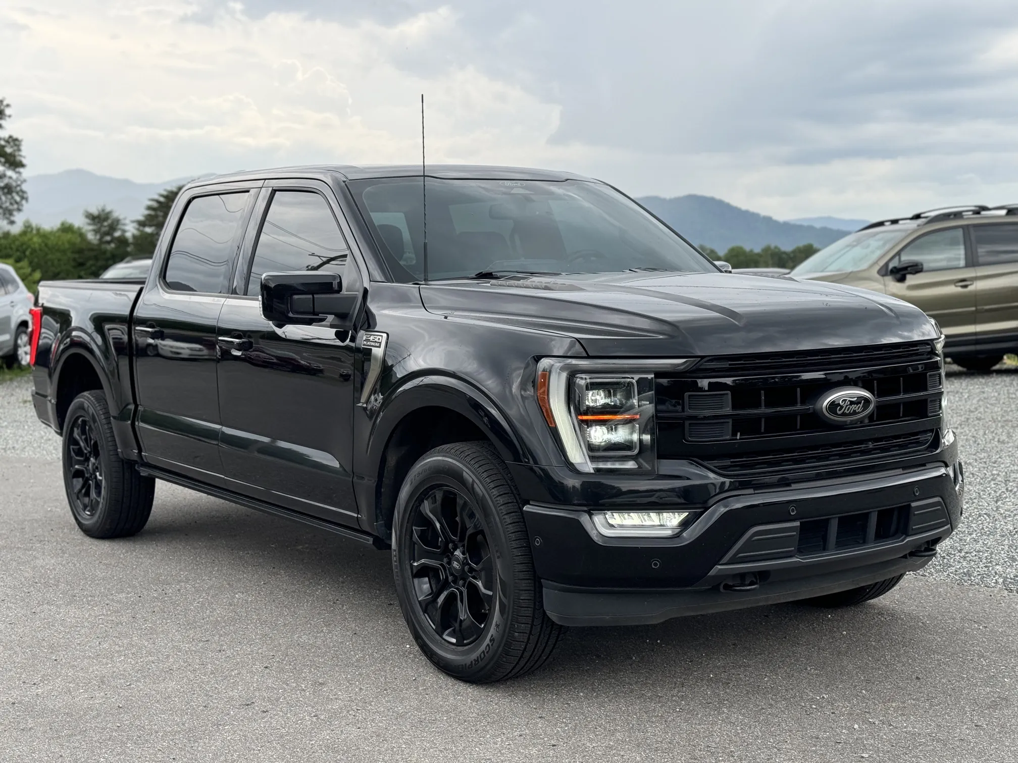 2022 Ford F-150 Platinum's photo