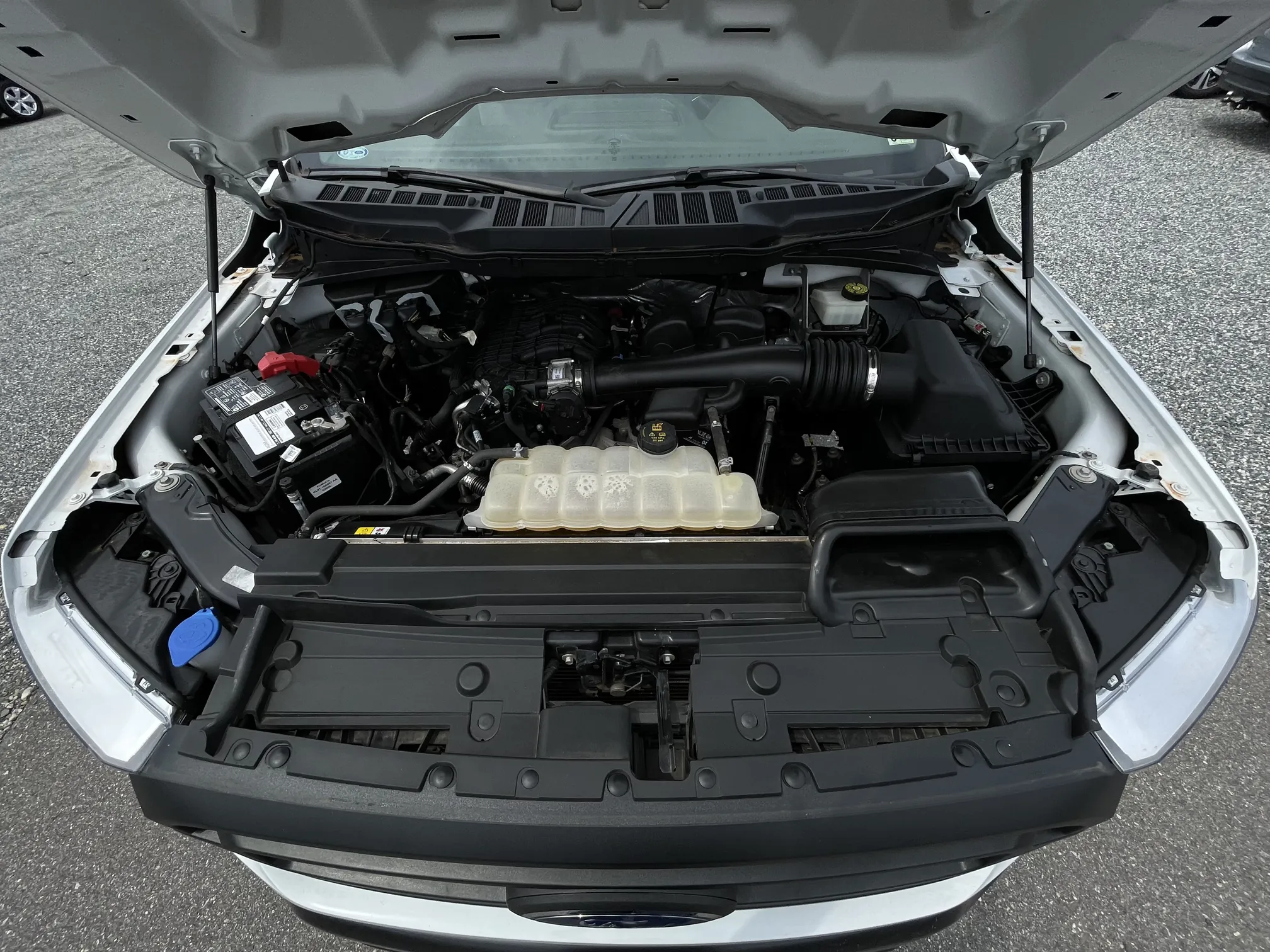 2022 Ford F-150 XL - White