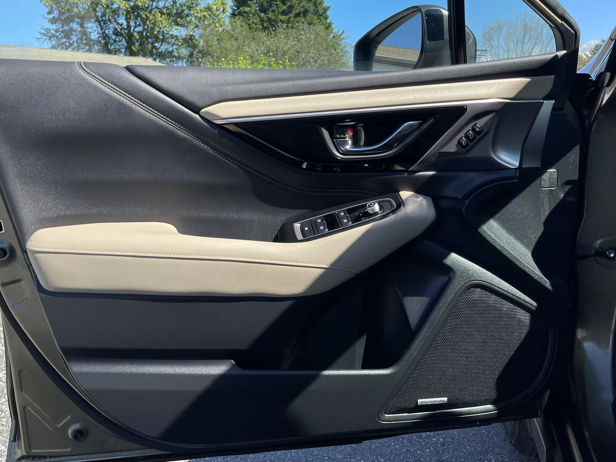 Driver door