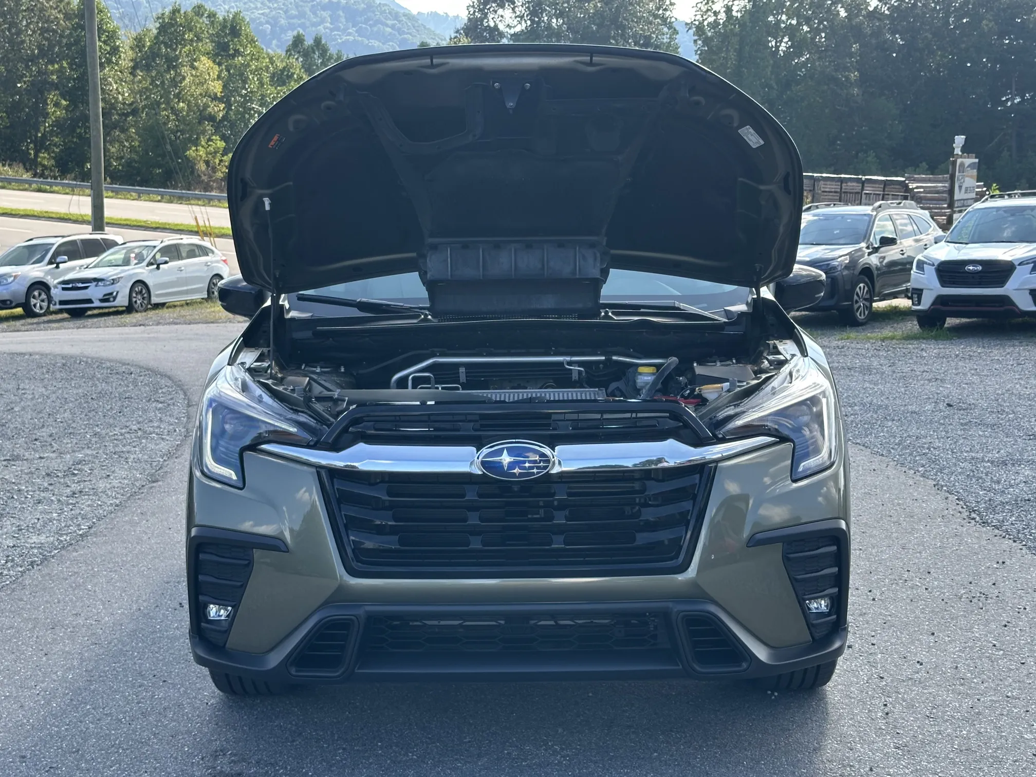 2024 Subaru Ascent LIMITED - Green
