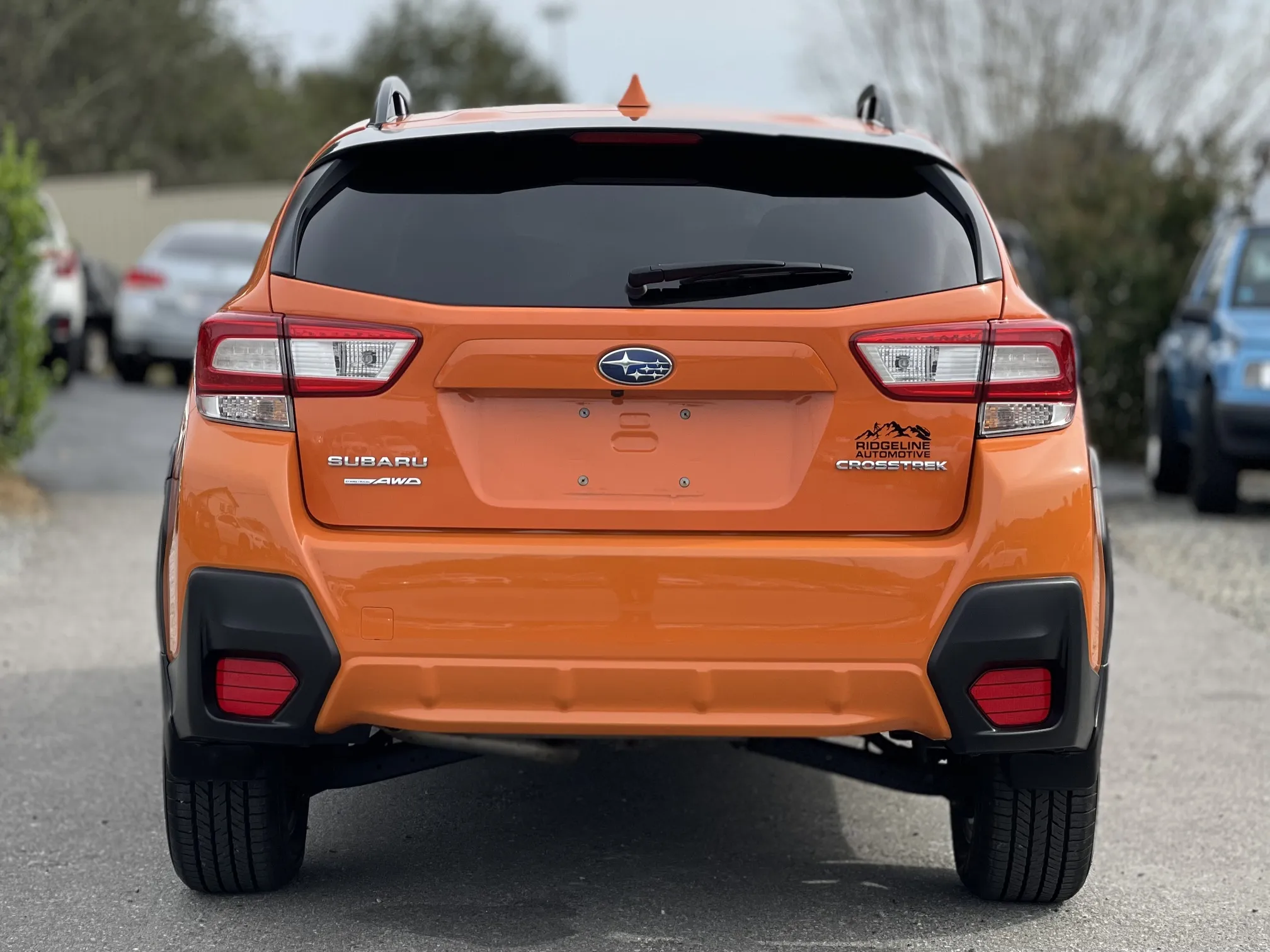 Rear