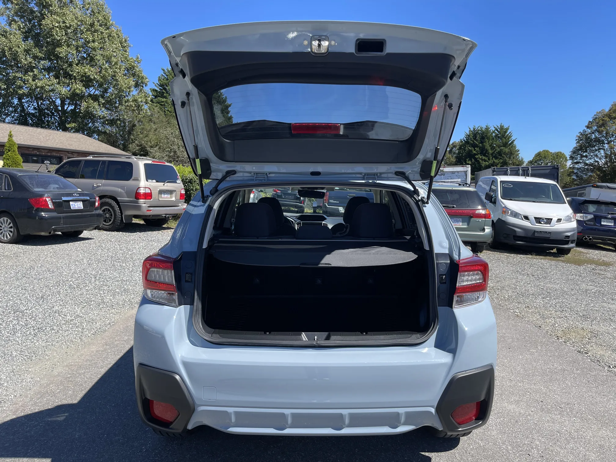 Trunk