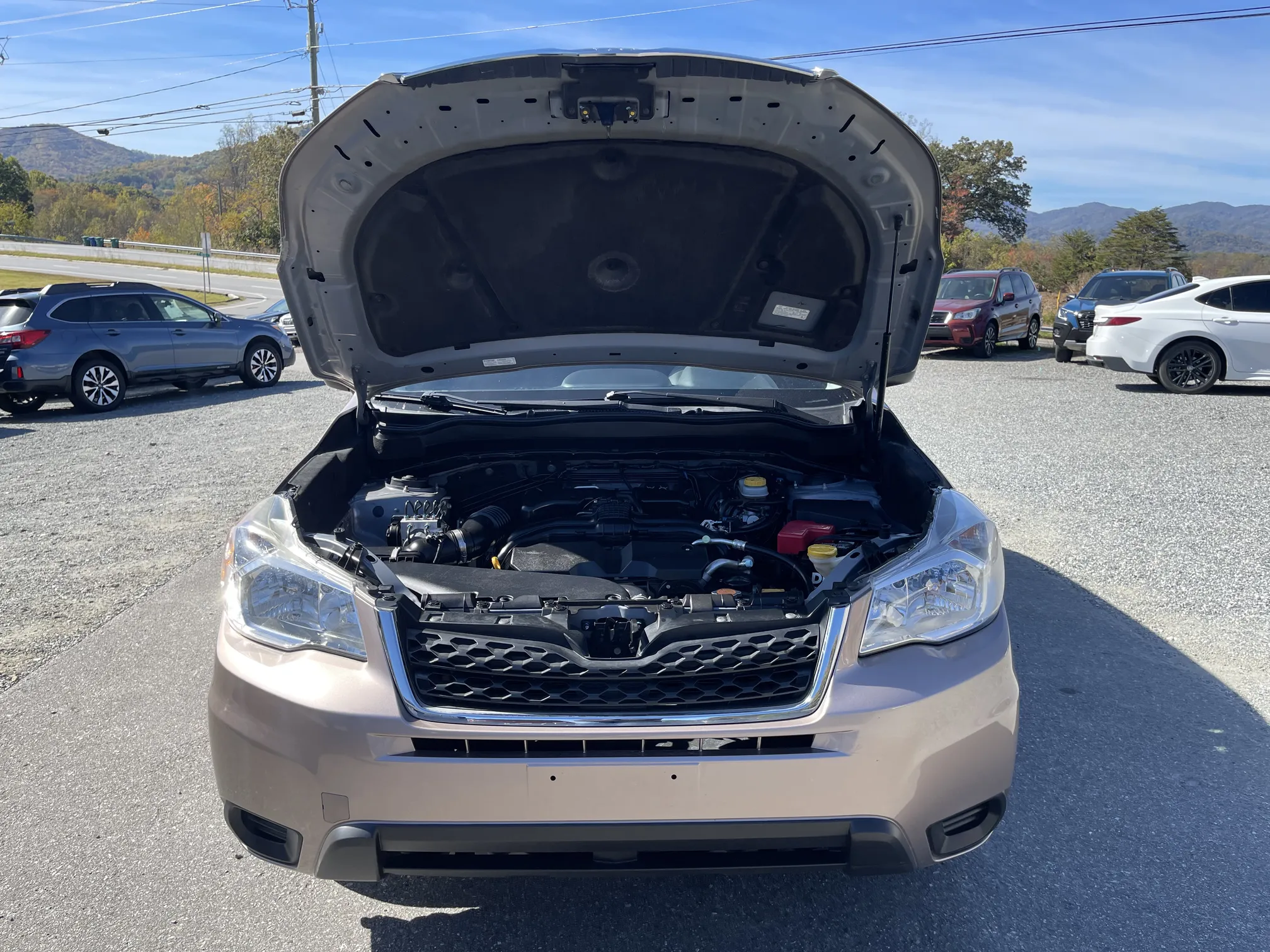 Engine bay