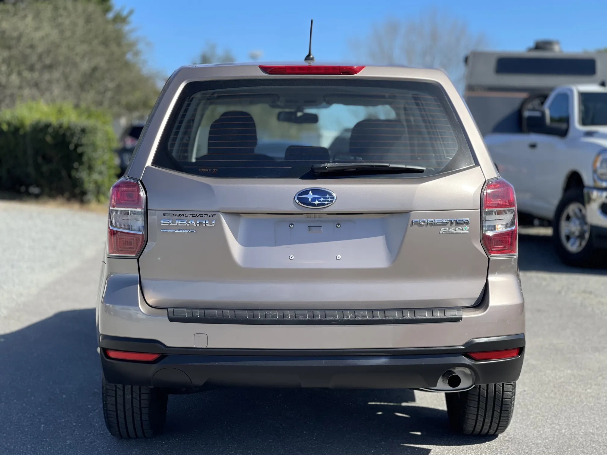 Rear