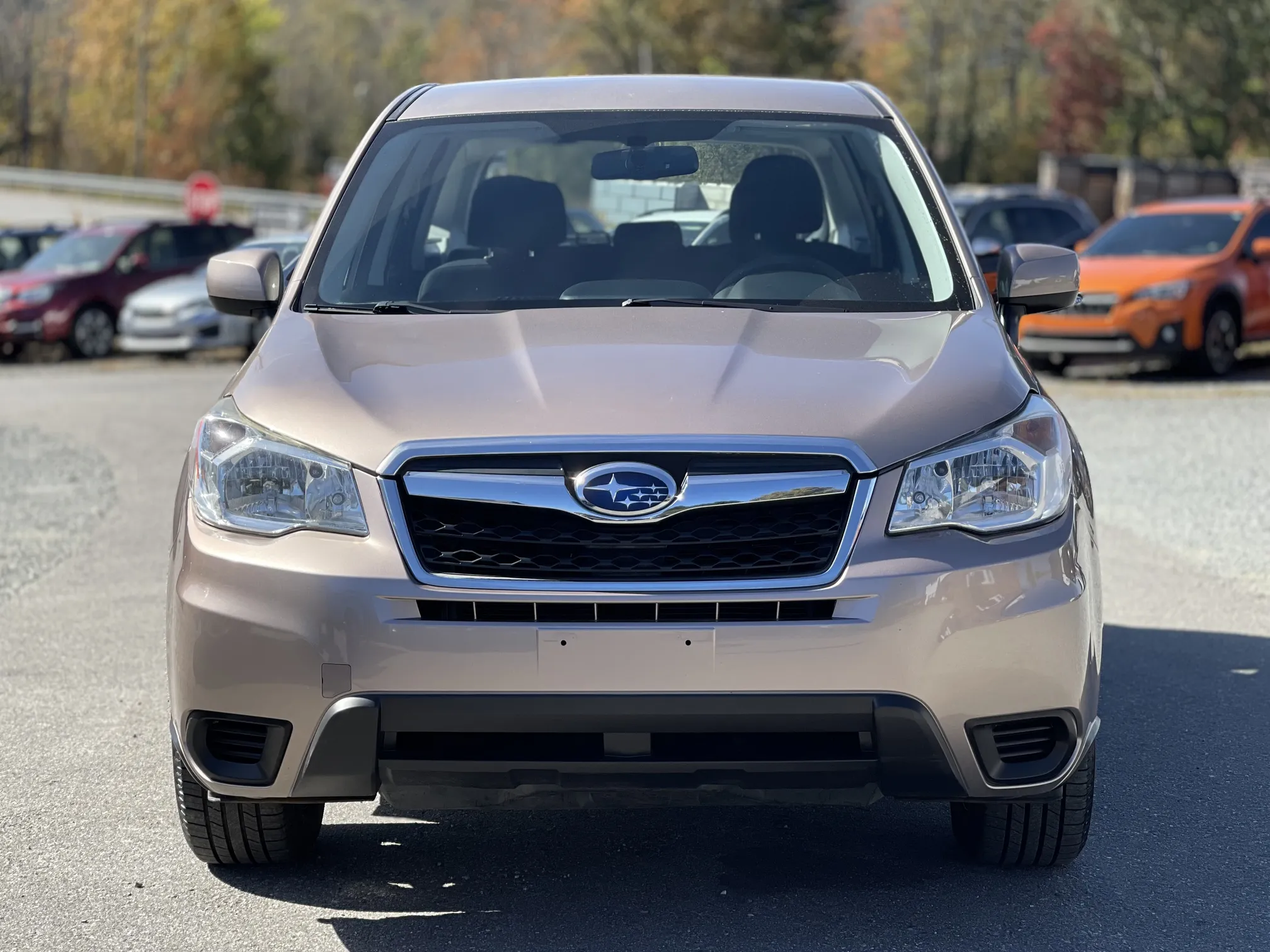 Front