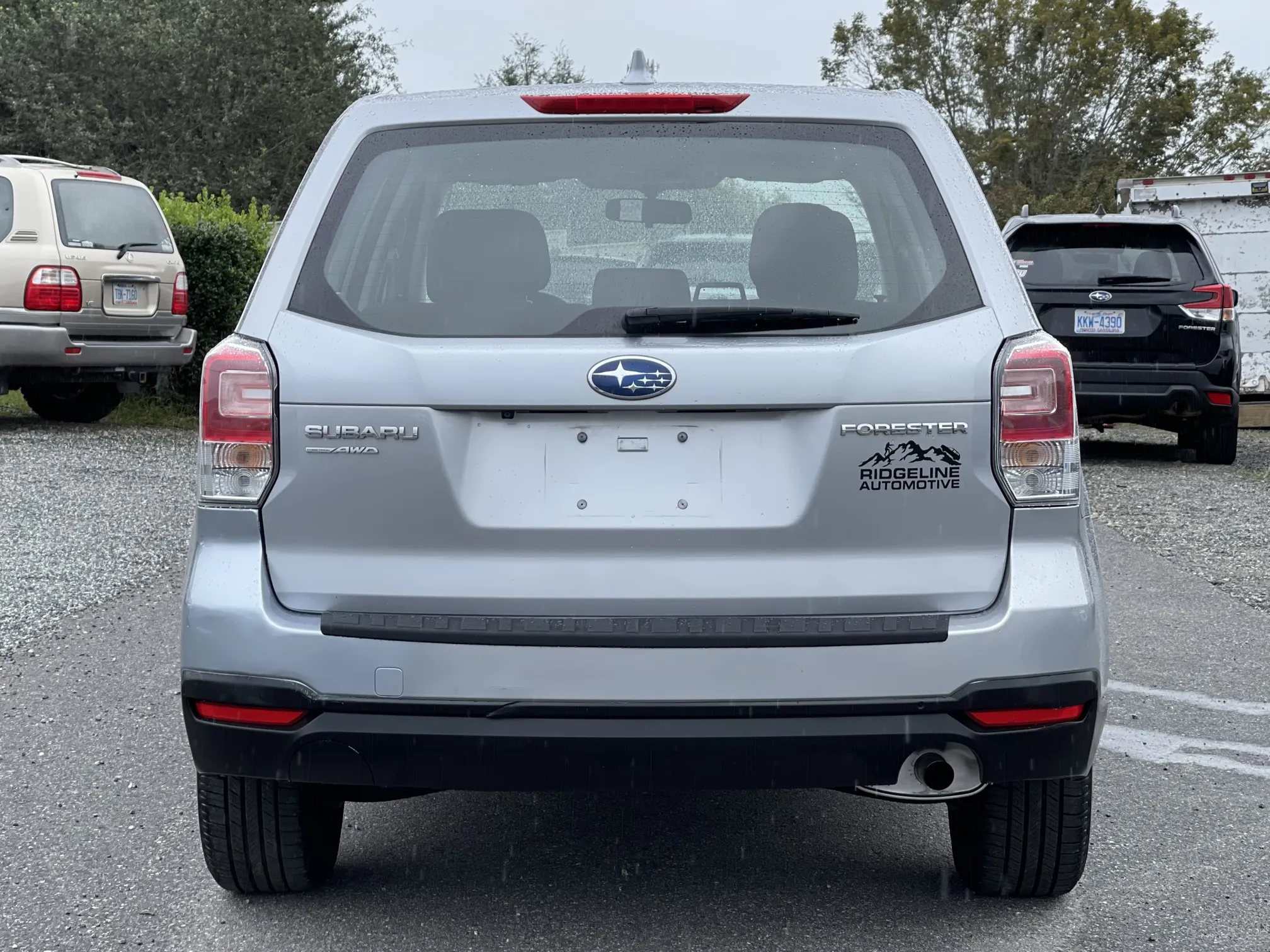 Rear