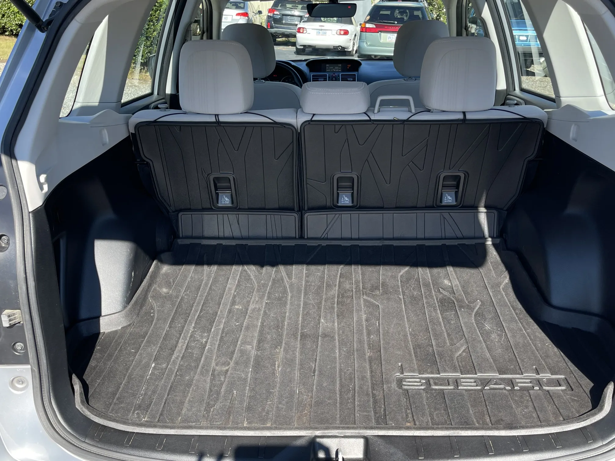 Trunk