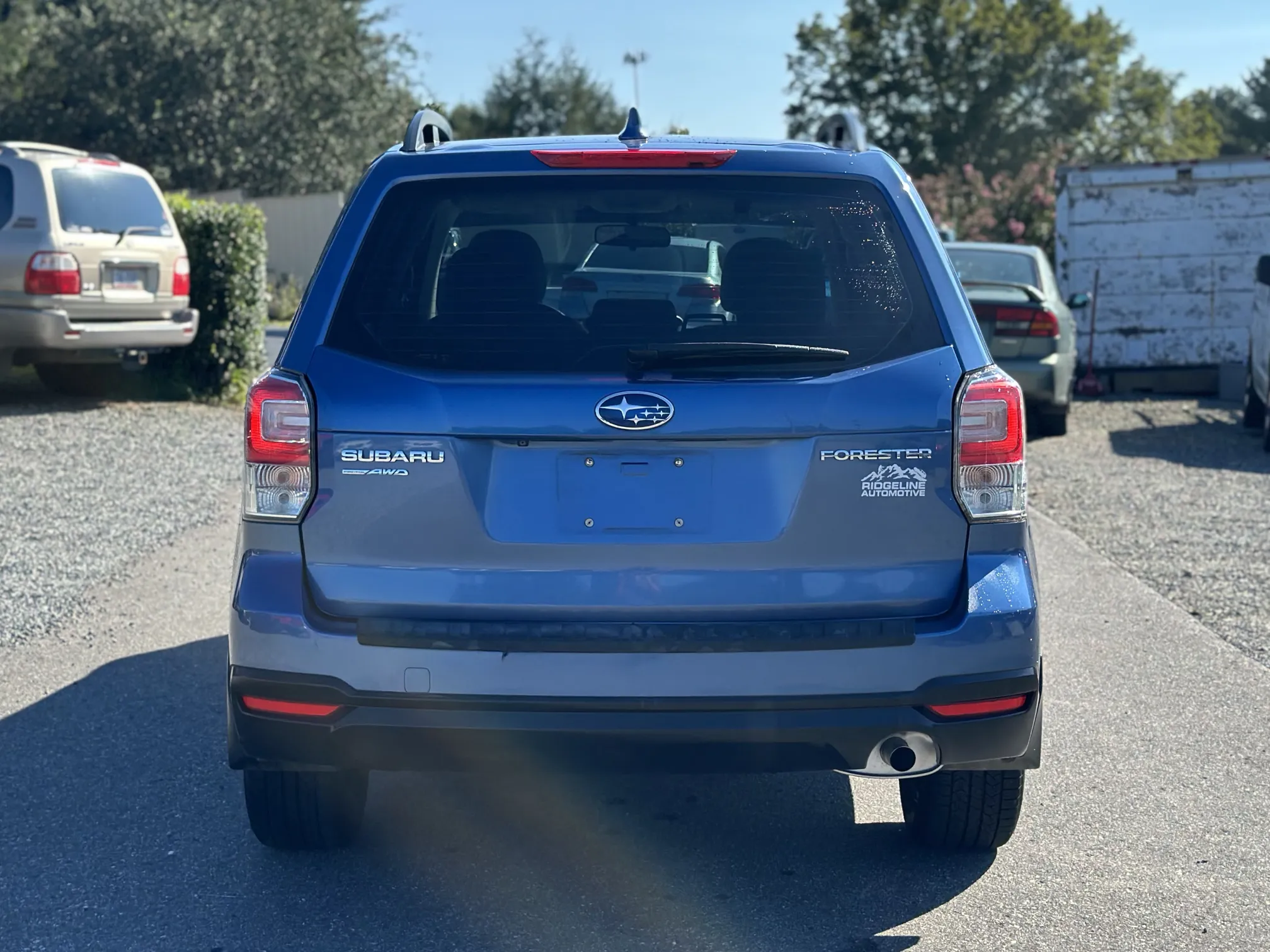 Rear