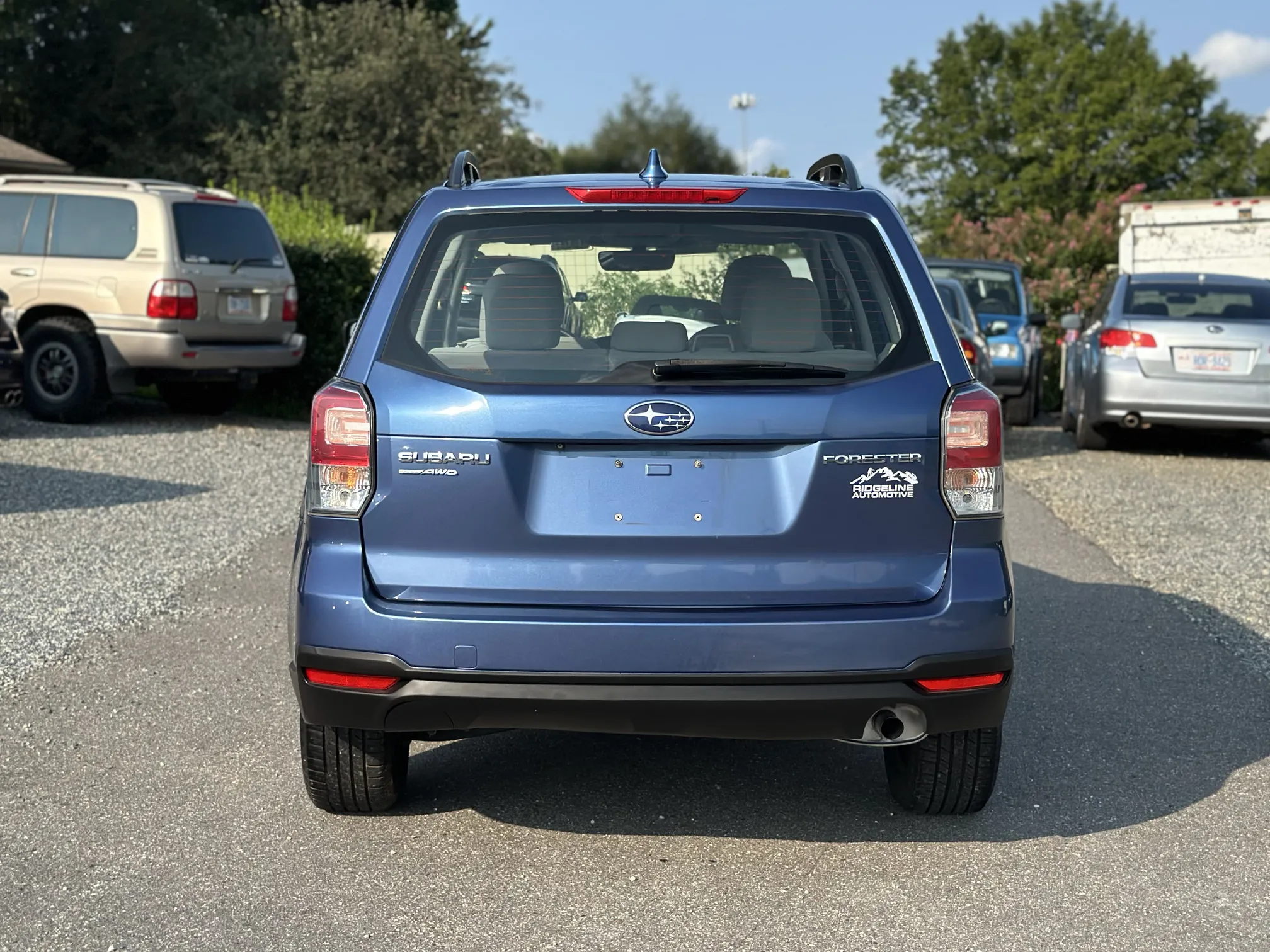 Rear