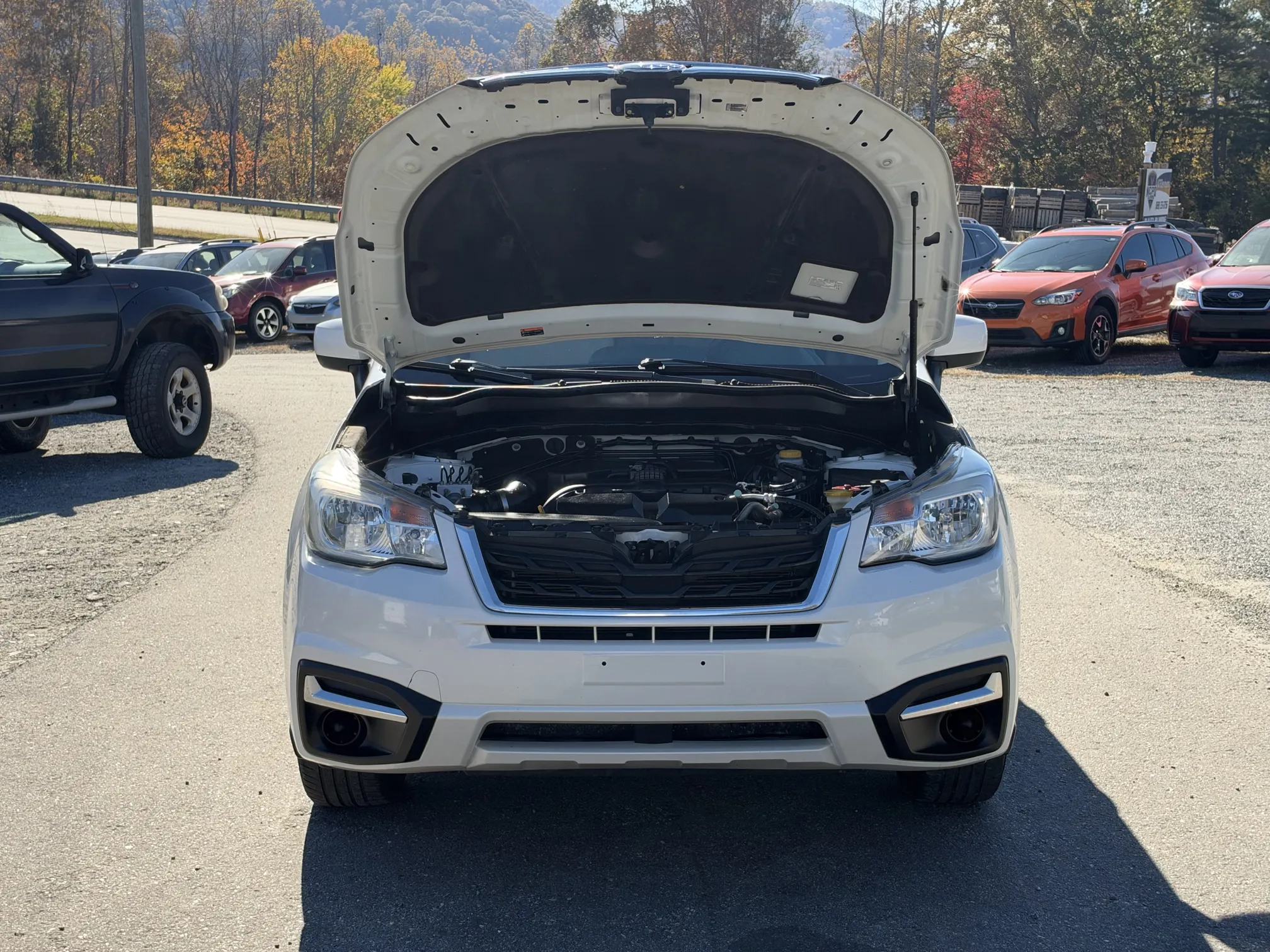 Engine bay