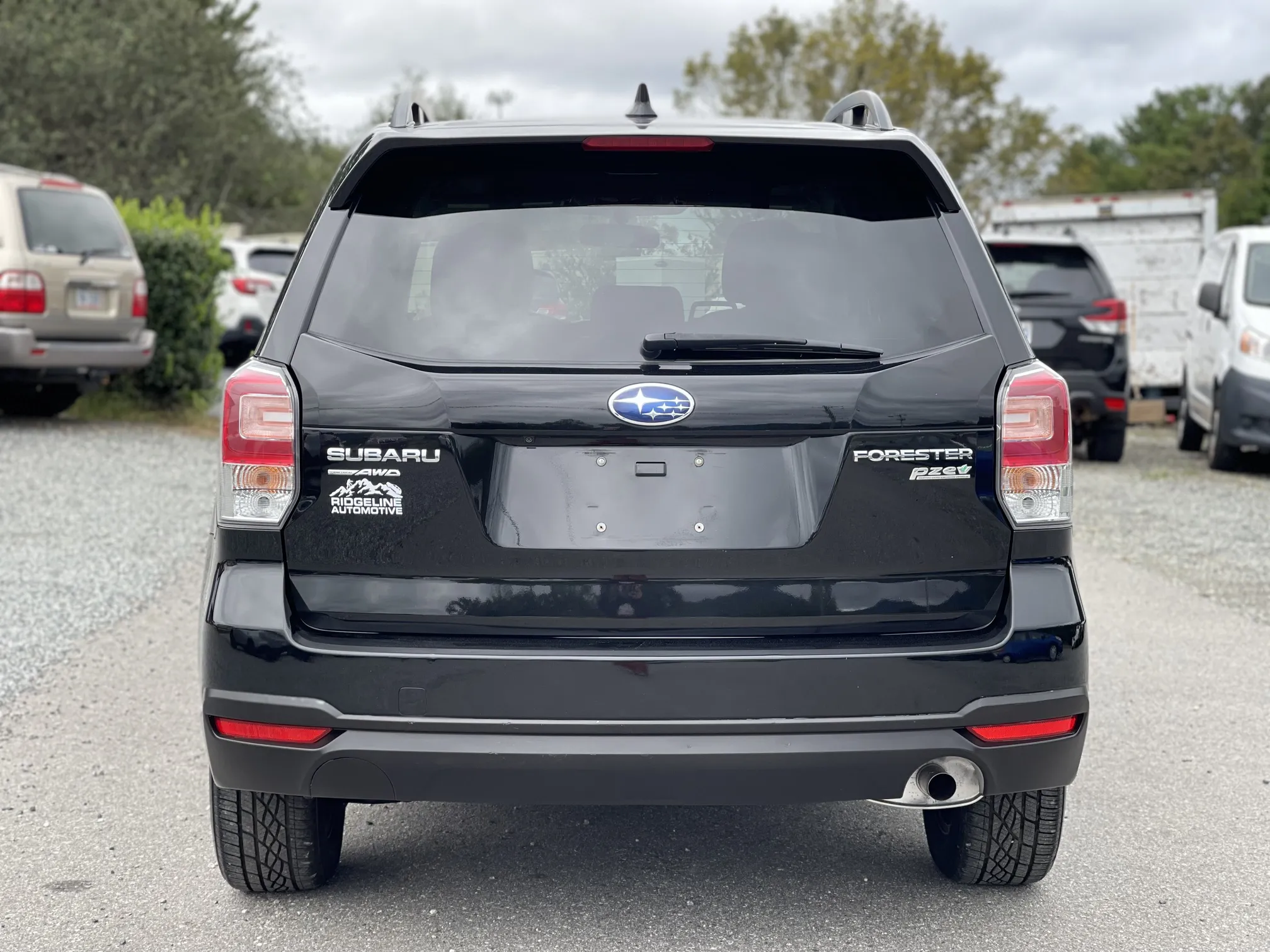 Rear