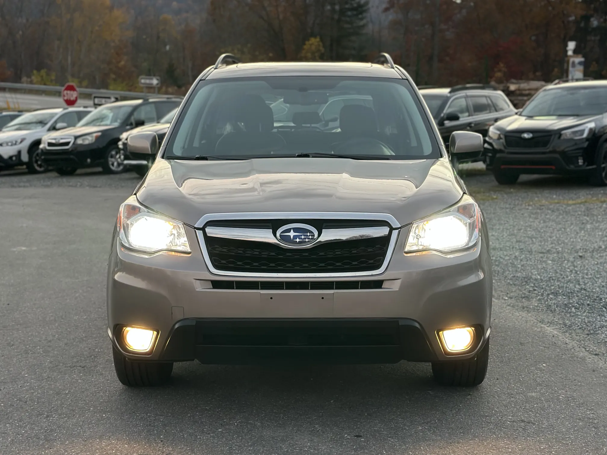 2016 Subaru Forester Limited Clean Title