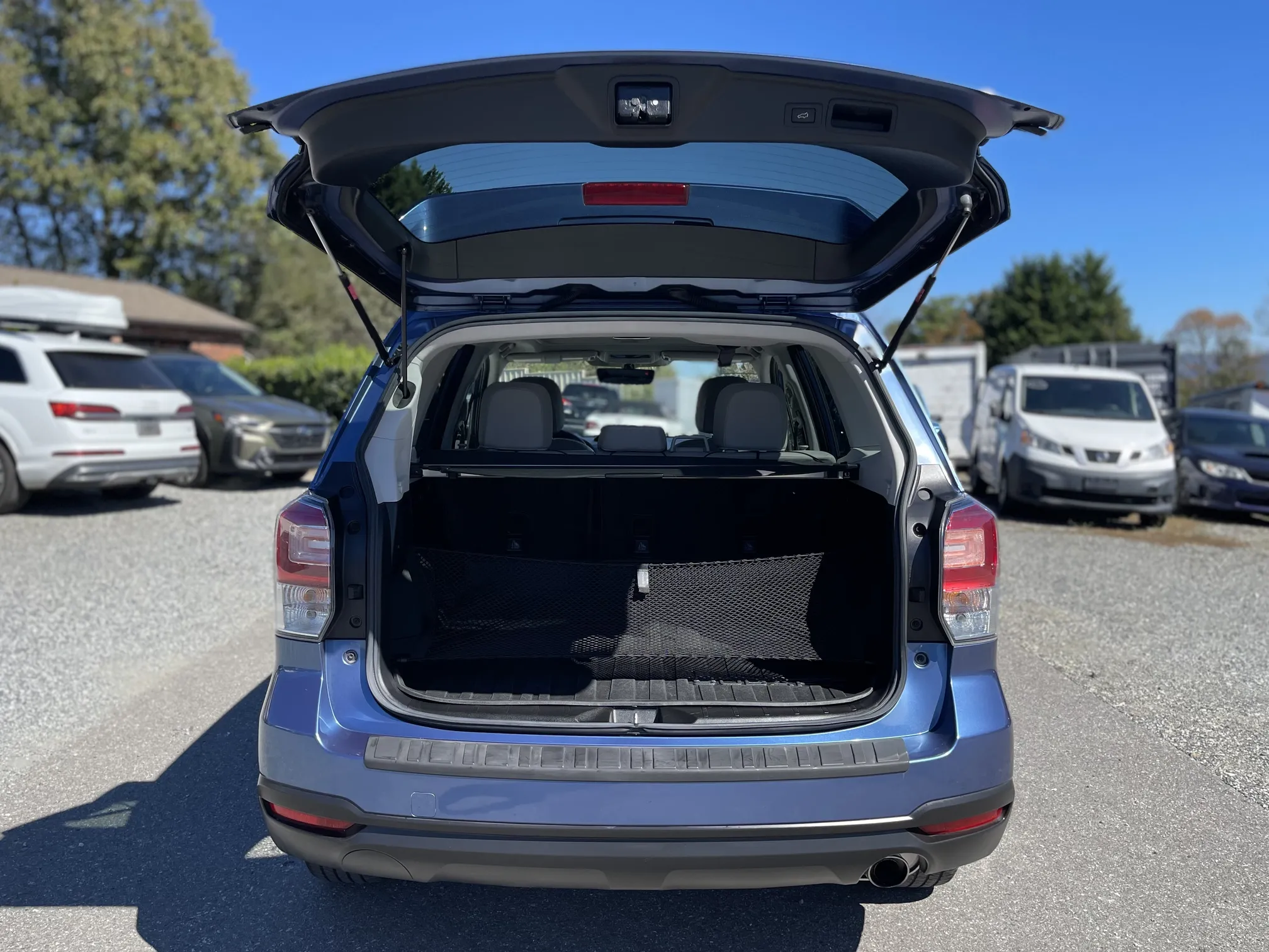 Trunk