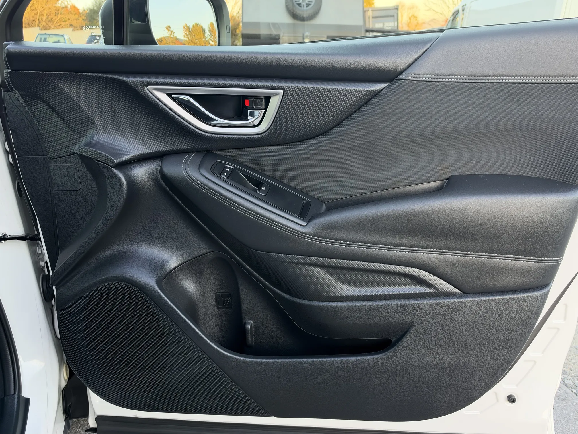 Passenger Door