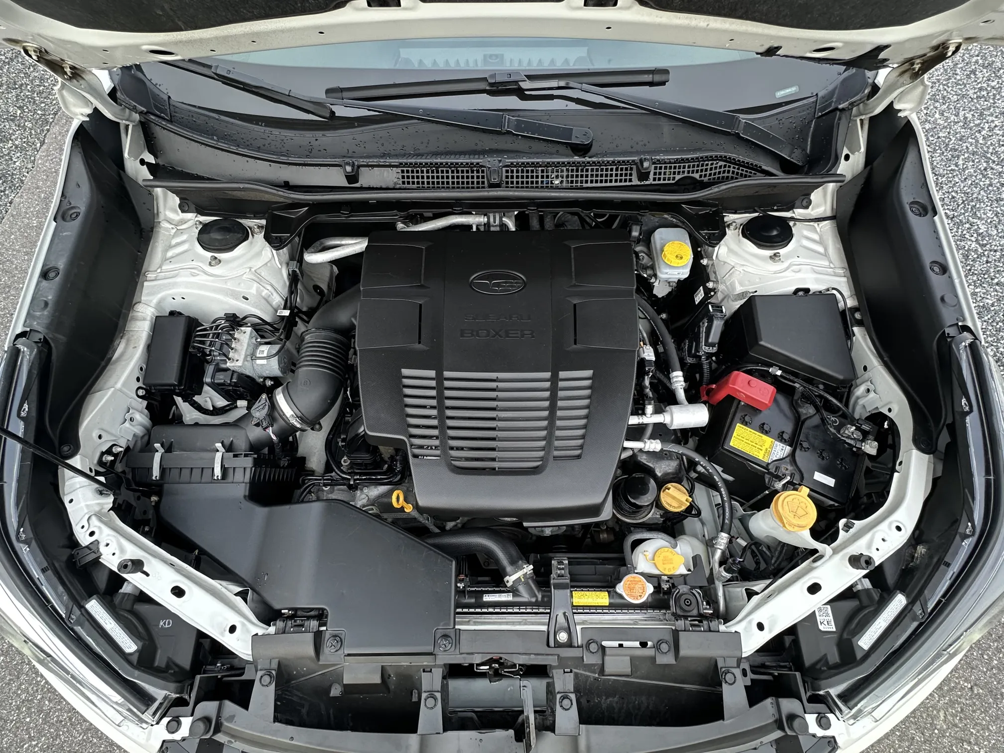 2022 Subaru Forester Sport - White