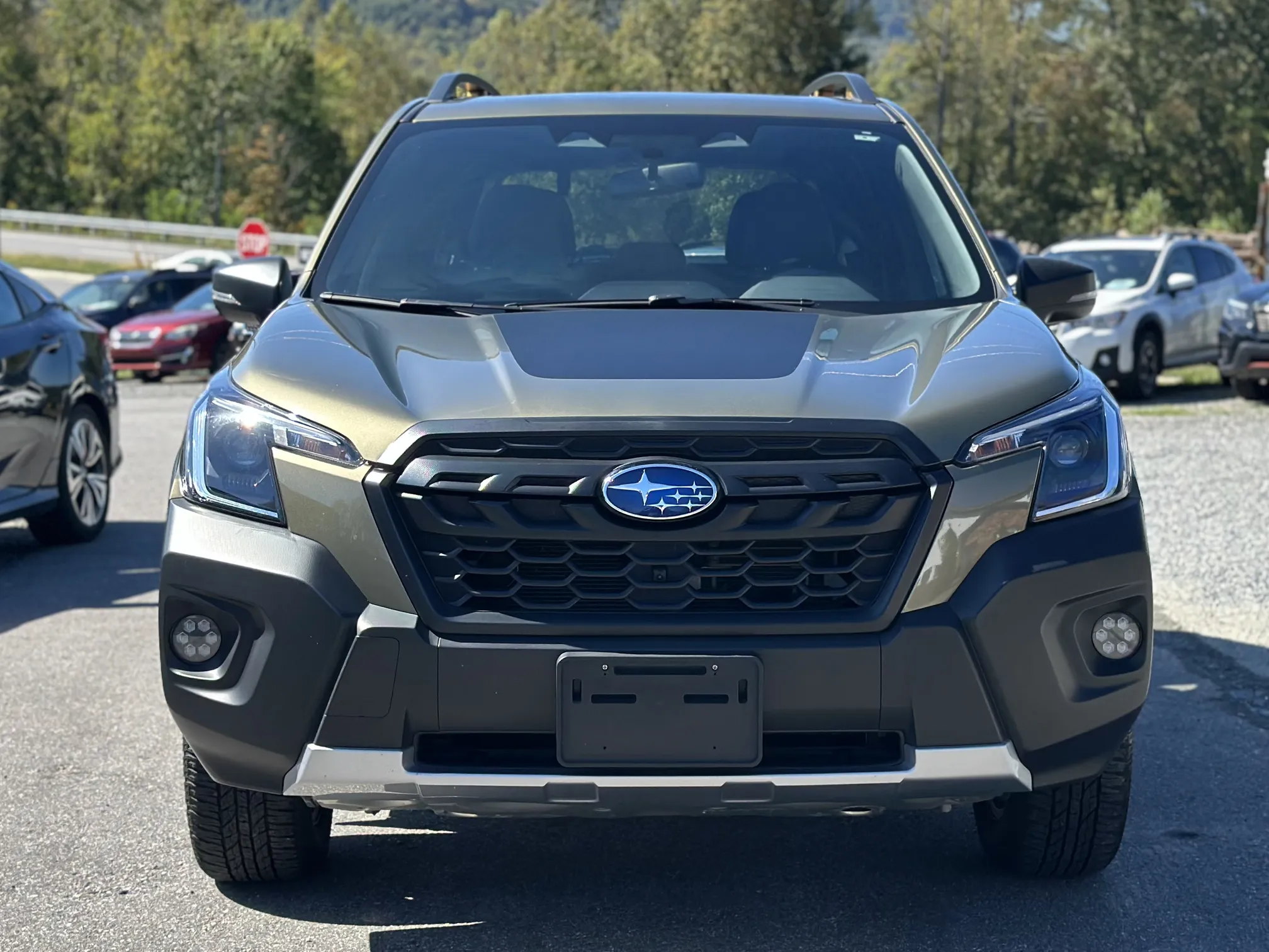 2023 Subaru Forester Wilderness