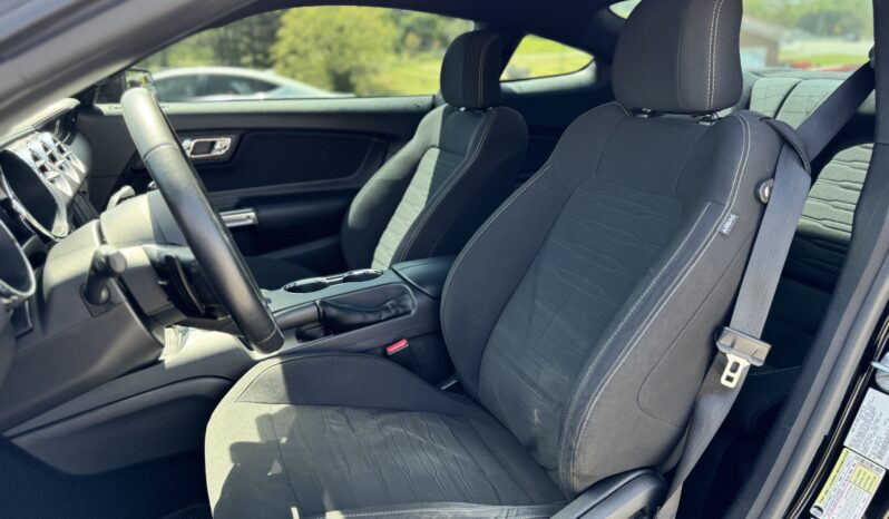 
								2017 Ford Mustang GT 5.0 V8 Automatic / 53k Miles full									