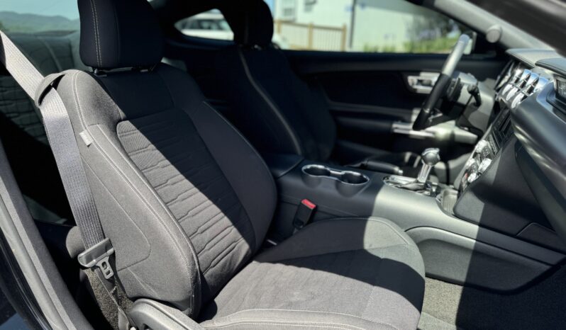 
								2017 Ford Mustang GT 5.0 V8 Automatic / 53k Miles full									