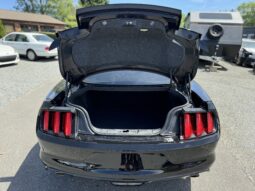 
										2017 Ford Mustang GT 5.0 V8 Automatic / 53k Miles full									