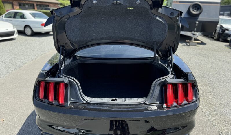 
								2017 Ford Mustang GT 5.0 V8 Automatic / 53k Miles full									
