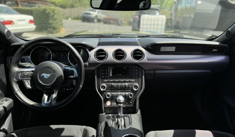 
								2017 Ford Mustang GT 5.0 V8 Automatic / 53k Miles full									