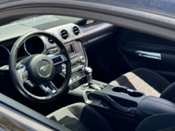 
										2017 Ford Mustang GT 5.0 V8 Automatic / 53k Miles full									