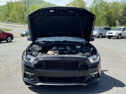 
										2017 Ford Mustang GT 5.0 V8 Automatic / 53k Miles full									