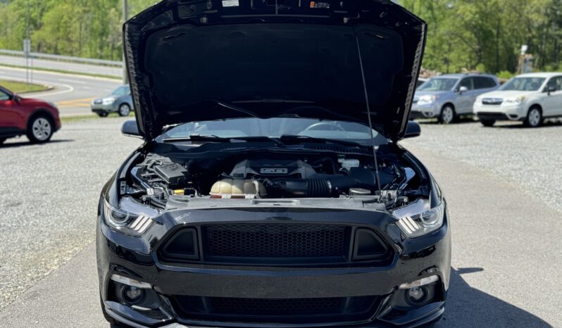 
								2017 Ford Mustang GT 5.0 V8 Automatic / 53k Miles full									