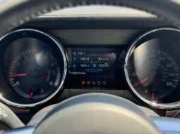 
										2017 Ford Mustang GT 5.0 V8 Automatic / 53k Miles full									
