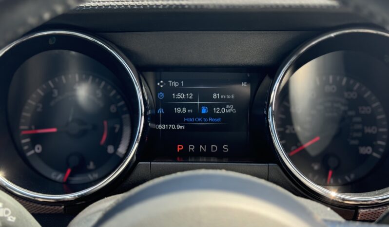 
								2017 Ford Mustang GT 5.0 V8 Automatic / 53k Miles full									