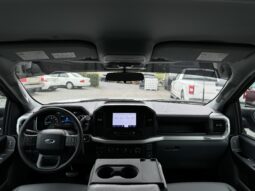 
										2023 Ford F-150 / 23k full									