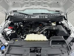 
										2023 Ford F-150 / 23k full									