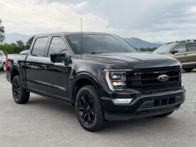 2022 FORD F-150 PLATINUM / 43K MILES