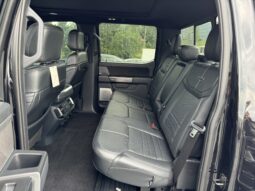 
										2022 FORD F-150 PLATINUM / 43K MILES full									