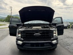 
										2022 FORD F-150 PLATINUM / 43K MILES full									