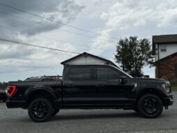 2022 FORD F-150 PLATINUM / 43K MILES