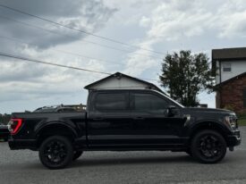 2022 FORD F-150 PLATINUM / 43K MILES