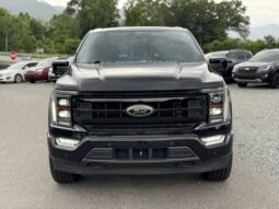 
										2022 FORD F-150 PLATINUM / 43K MILES full									