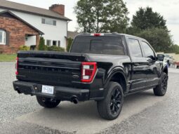 2022 FORD F-150 PLATINUM / 43K MILES