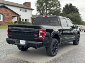 2022 FORD F-150 PLATINUM / 43K MILES
