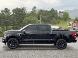 
										2022 FORD F-150 PLATINUM / 43K MILES full									