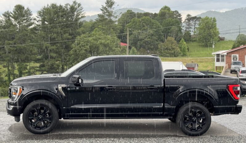 
								2022 FORD F-150 PLATINUM / 43K MILES full									