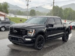 
										2022 FORD F-150 PLATINUM / 43K MILES full									