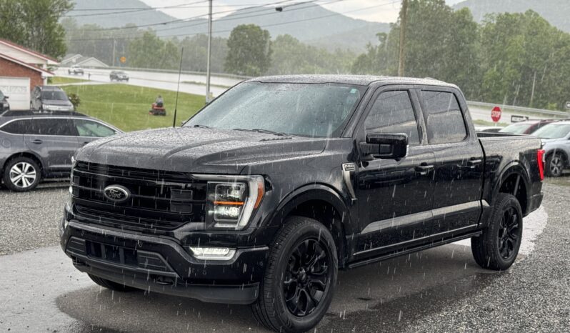 
								2022 FORD F-150 PLATINUM / 43K MILES full									